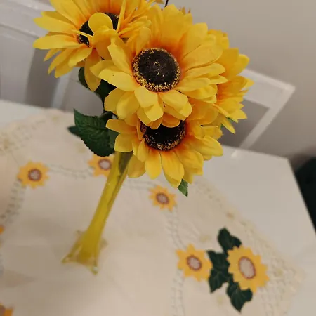 Apartment Sunflower *