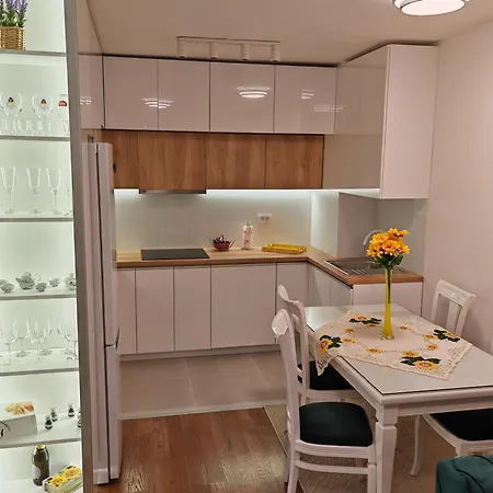 Sunflower Apartment